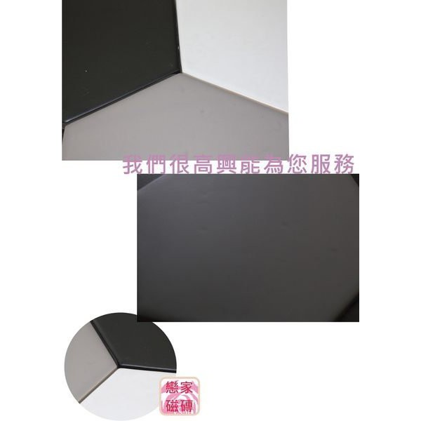 《戀家磁磚工作室》進口霧面石英磚(白) 18*20CM 地壁兩用 適用於浴室、室內、廚房