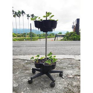 ＊移動菜園＊雙層附輪立體植栽花盆，草莓塔蔬菜塔，適合都市農夫陽臺有機種植、農場大量栽種，栽培塔／立體種菜箱／盆栽園藝資材