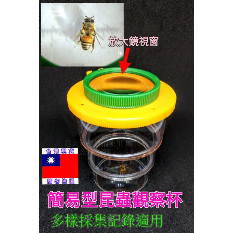 附發票台灣現貨 昆蟲採集盒 簡易杯型分類杯放大鏡小昆蟲蜜蜂蝴蝶螢火蟲親子互動採集露營休閒登山健行記錄 蝦皮購物