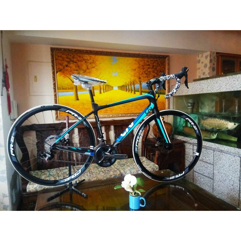 giant avail 1