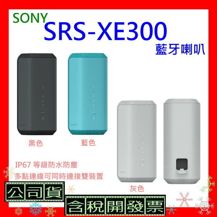 註冊送300即享卷 台灣公司貨+開發票 SONY SRS-XE300藍牙喇叭  SRSXE300喇叭 XE300防水喇叭