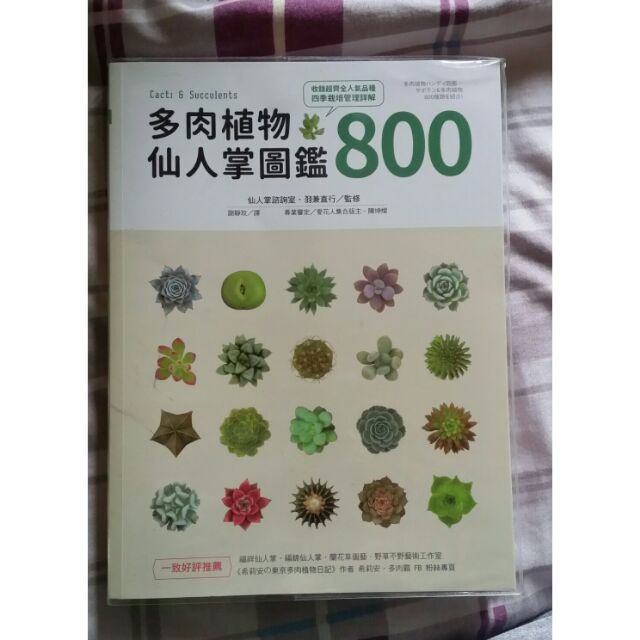 二手 多肉植物&amp;仙人掌圖鑑800 書 多肉