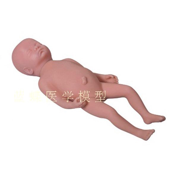 ♥❤高級足月胎兒模型 新生嬰兒護理模型人 初生嬰兒模型 塑膠娃娃