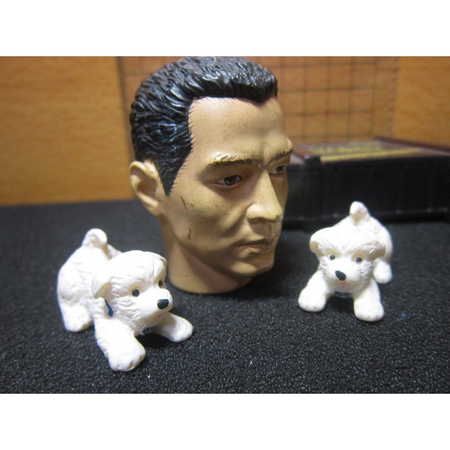Z3動物部門 mini模型1/6吉娃娃米白色小狗模型一個