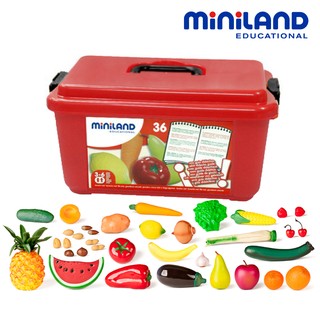 【西班牙Miniland】蔬果百寶箱36件組(含收納盒)