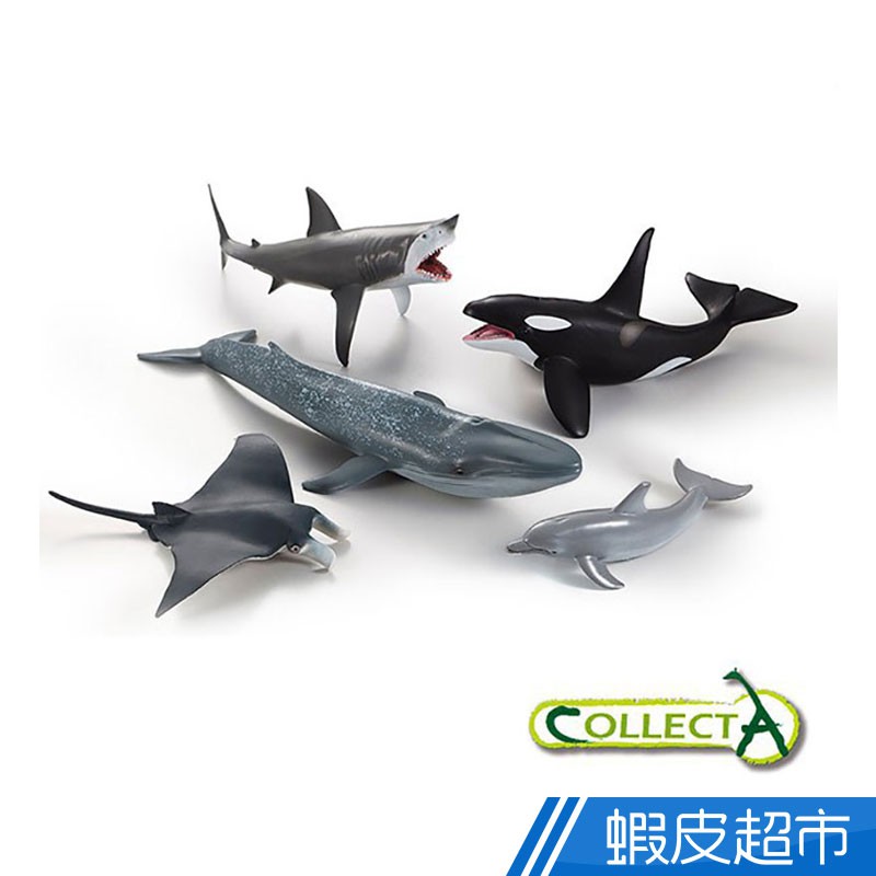 collectA 海洋生物禮盒組(5入)~英國高擬真模型R84072 現貨 廠商直送