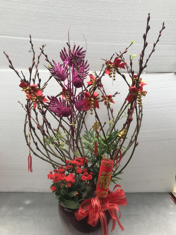 喜洋洋銀柳盆栽 花卉 蝦皮購物