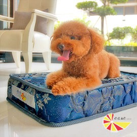 【樂樂生活精品】 凱蕾絲帝-大中型寵物專用獨立筒彈簧床墊(60*90*11cm)免運費 請看關於我