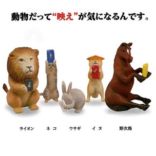 T-ARTS 轉蛋 扭蛋 拍照動物 自拍動物 獅子 柴犬 兔兔 貓咪 全5種 整套販售
