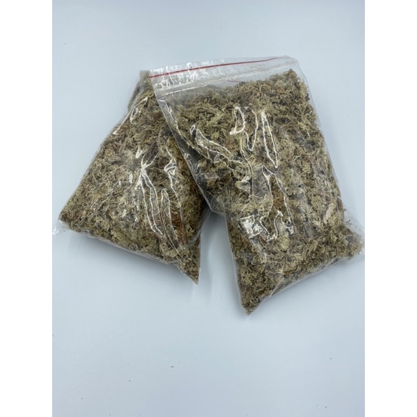 蟲洞 虫洞 智利水苔原裝進口水草水苔甲蟲墊材甲蟲底材獨角仙鍬形蟲兜蟲1克1元50公克40元 蝦皮購物