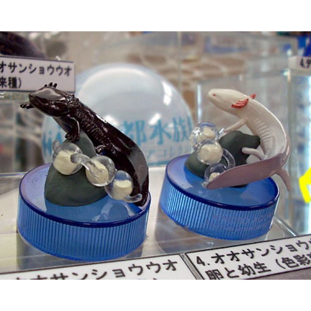 海洋堂京都水族的價格推薦 21年5月 比價比個夠biggo
