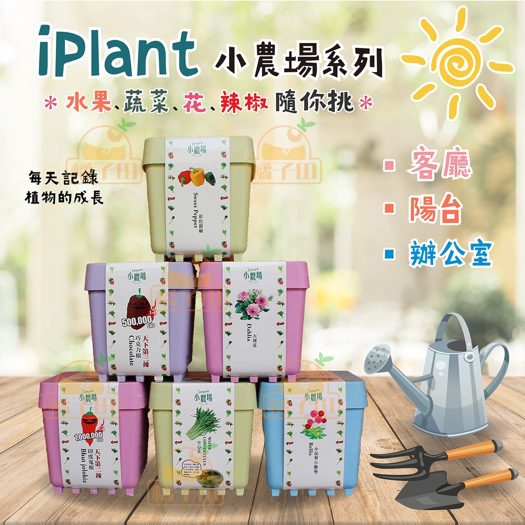 【橘子田】iPlant小農場~觀賞用盆栽系列3入