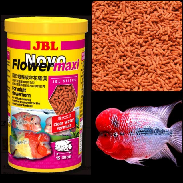 彩虹騎士 德國jbl珍寶花羅漢增艷起頭主食 1000ml 花羅漢 增艷飼料 龍魚 大型魚 羅漢起頭 血鸚鵡 蝦皮購物