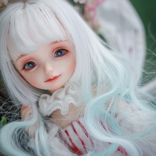 dz bjd