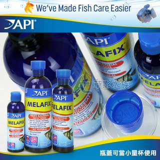 【AC草影】免運費！API 魚博士 天然草本複方細菌處理劑（237ml）【一瓶】