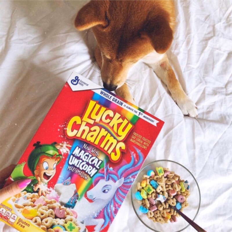 Y M Lucky Charms Cereal 422g 幸運星獨角獸彩虹棉花糖麥片營養早餐喜瑞兒穀物 蝦皮購物