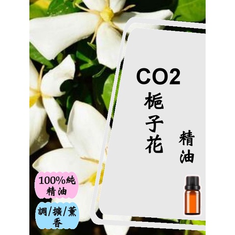 CO2梔子花精油1ML/3ML/5ML/中國【現貨】【超值】【100%精油】