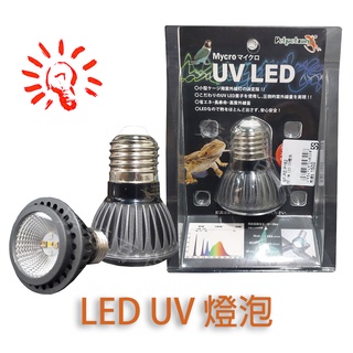 Petpetzone LED UV燈泡 紫外線燈 UVA UVB 3W 兩棲爬蟲 陸龜 蜥蜴 曬背 婷婷百貨 金金水族