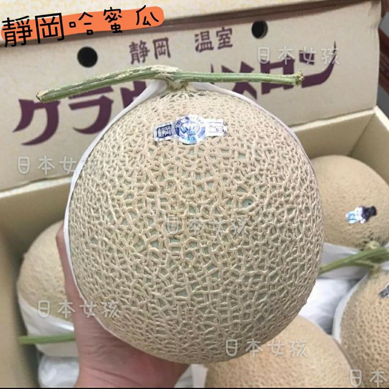 日本高級禮盒🚁日本靜岡皇冠綠肉哈蜜瓜原封多粒箱| 蝦皮購物