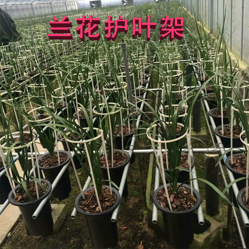 熱賣 蘭花架花支柱支架固定支撐植物攏叶花架盆栽蟹爪蘭蝴蝶蘭護叶架 蝦皮購物