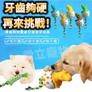 【愛立寵物】TPR 寵物耐咬玩具 磨牙玩具 紓壓玩具 狗狗牙刷 狗狗玩具 狗玩具 寵物玩具 棉繩玩具 磨牙 繩結玩具