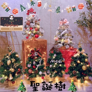 台灣現貨 🎄迷你裝飾聖誕樹 20cm 40cm 交換禮物 季節 聖誕樹 聖誕節 擺件 聖誕禮物 微景觀 裝飾 居家 花圈