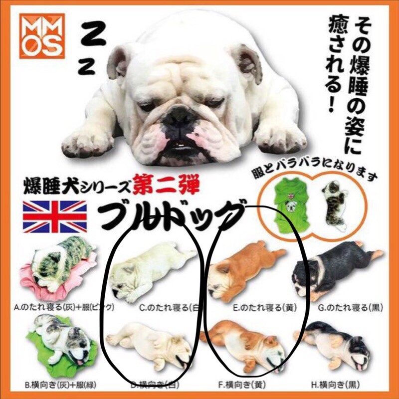 爆睡犬 優惠推薦 21年6月 蝦皮購物台灣