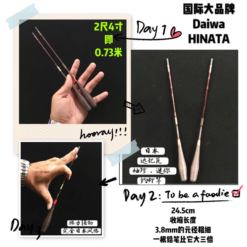 daiwa hinata