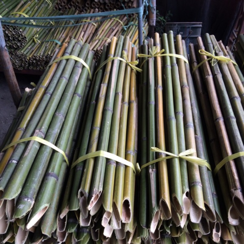 竹竿4 拍賣與ptt推薦商品 21年2月 飛比價格