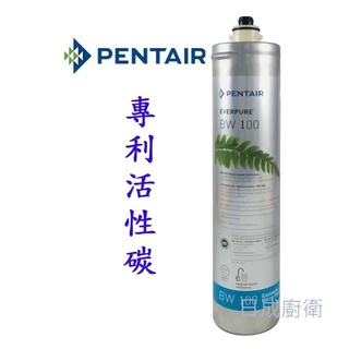 諾得 淨水器替換濾心 專利活性炭+抑水垢 BW100《日成》