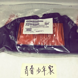 【少年家】AEON 宏佳騰 原廠 30T 空氣濾清器 OZ150 OZS ES150 空濾 濾芯 扁