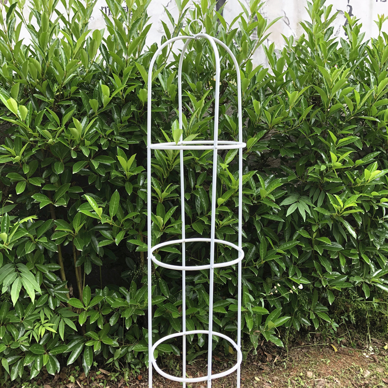 鐵藝玫瑰月季花柱架鐵線蓮爬藤架攀藤植物架子花盆支架桿鳥籠戶外 蝦皮購物
