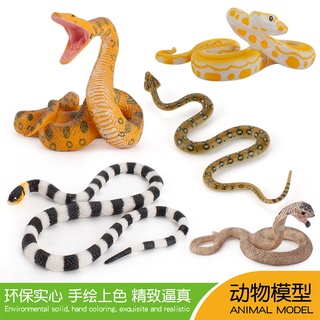 ✌限時熱銷✌黃金大蟒蛇眼鏡蛇珊瑚蛇兒童科教認知模型玩具 模擬野生動物蛇類模型擺件 兒童過家家玩具→快速出貨←