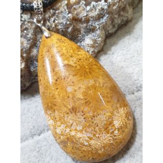 ☆奇緣創意 ☆ 天然珊瑚玉 水滴吊墜 項鍊 鎖骨鍊