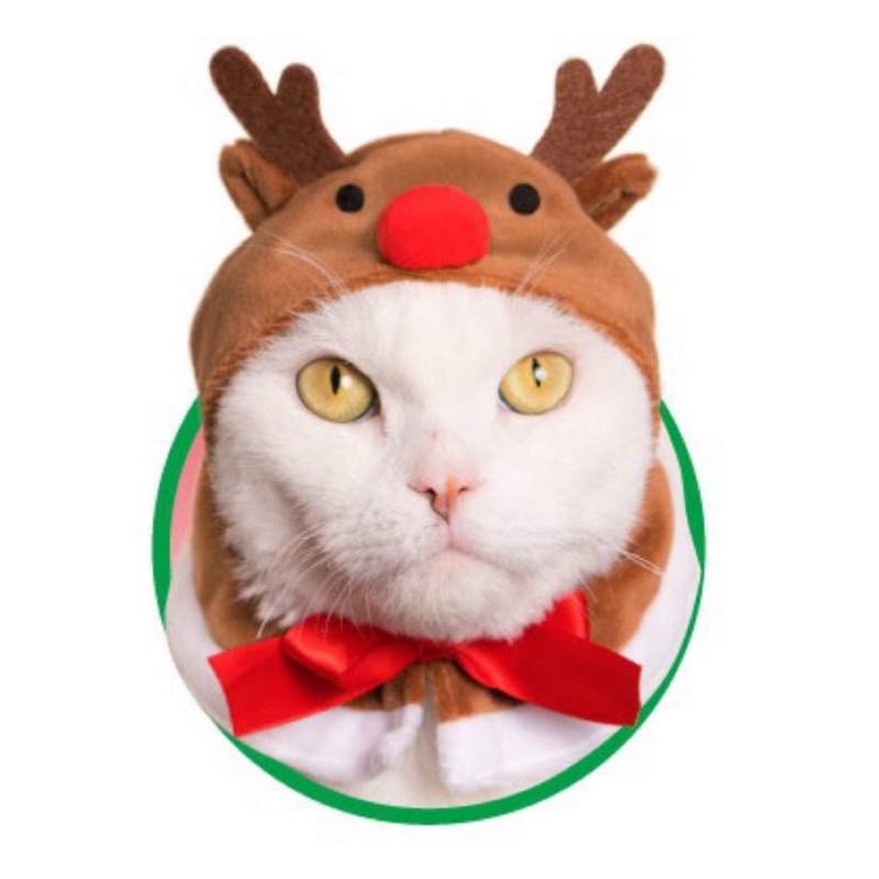 （現貨一個）扭蛋 貓咪頭套 聖誕節 麋鹿