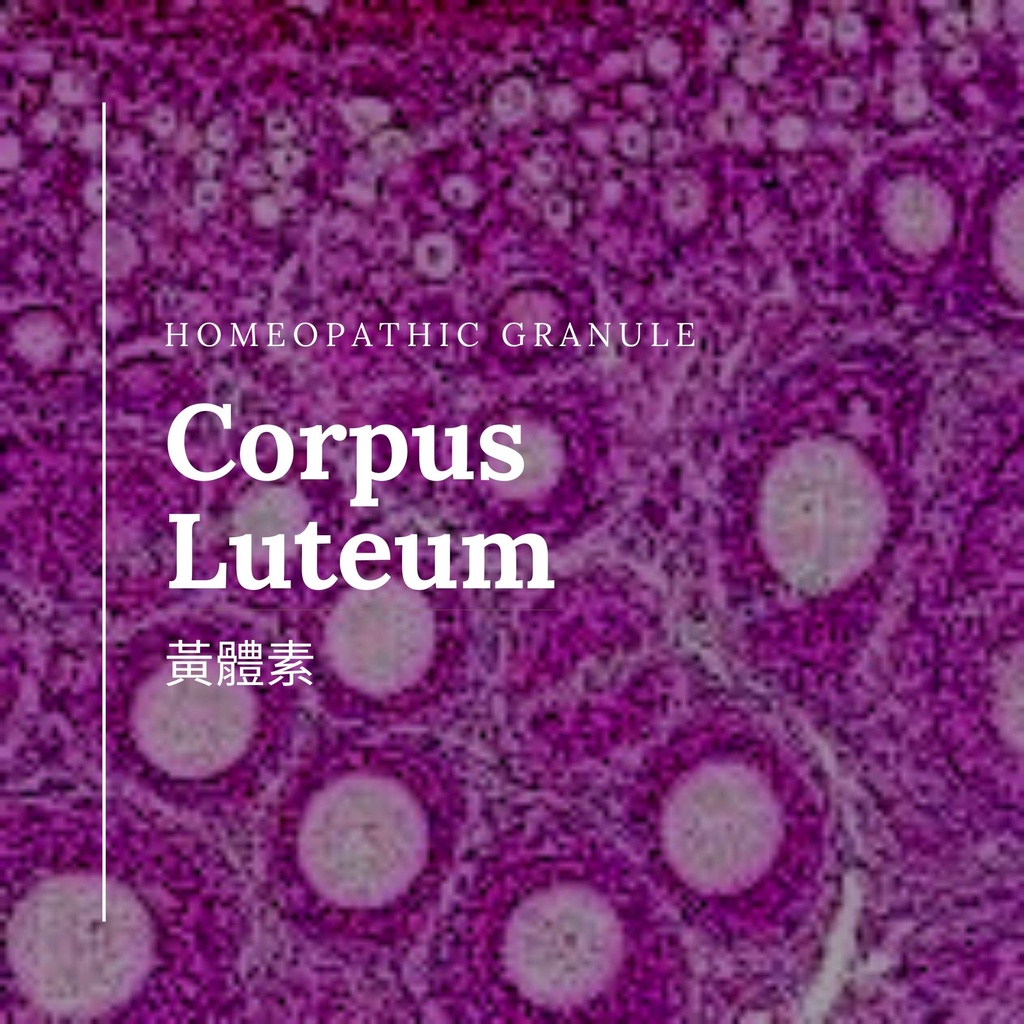 順勢糖球【Corpus Luteum● Luteinum】Homeopathic Granule 9克 食在自在