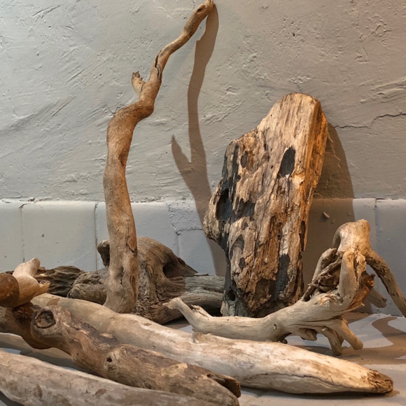 瓶中造園 枯木沉木漂流木空氣鳳梨鹿角蕨爬蟲水族裝飾用diy 插花擺件樹根木雕裝飾 蝦皮購物