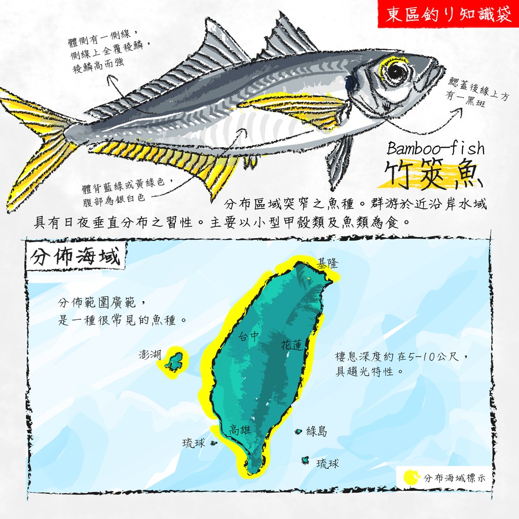 樂釣 Zenis 胴突仕掛魚皮仕掛8本綁好鉤船釣鯖魚竹莢魚黃雞魚 蝦皮購物