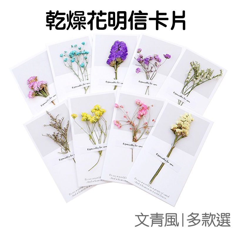 小清新白底長條乾燥花卡片 永生花 拍照道具 手工卡片 明信片 母親節【JC2833】《Jami》