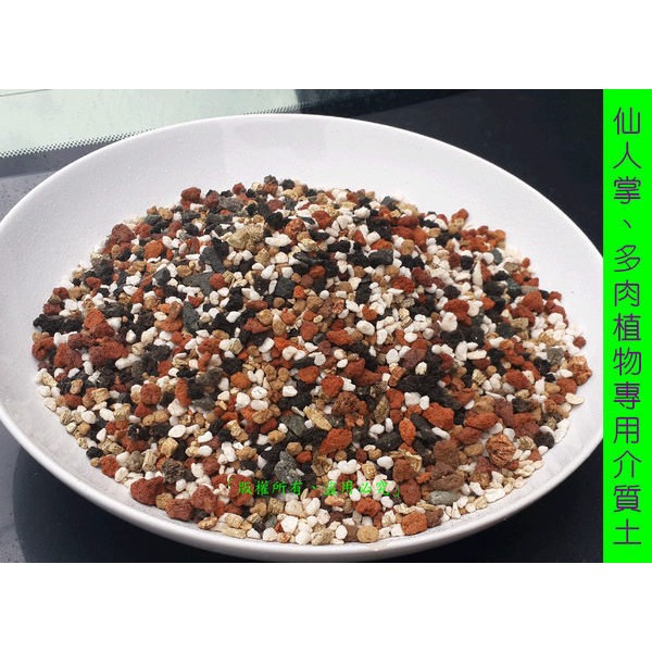 仙人掌多肉植物專用顆粒土多肉顆粒土多肉介質土多肉用土盆栽土火山石珍珠石蛭石培養土 鵝卵石 蝦皮購物
