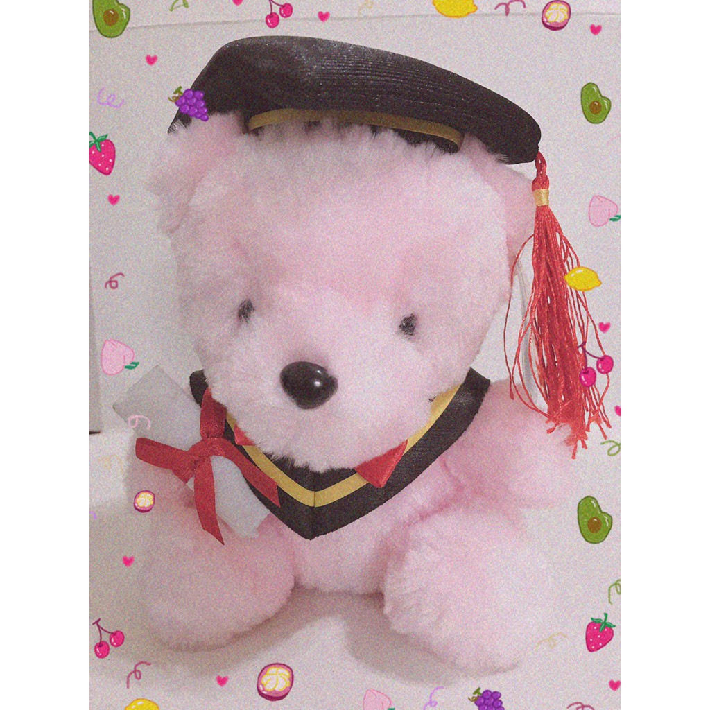 霖霖萬寶閣a650727a 畢業 泰迪熊 娃娃 學士熊 畢業熊娃娃 學士熊玩偶 BEAR Teddy bear 粉紅色P