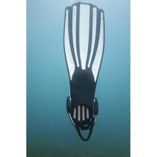 四線金剛-蛙鞋-可調節彈力彈簧鋼帶游泳浮潛水肺潛水長腳蹼蛙鞋四線金剛
