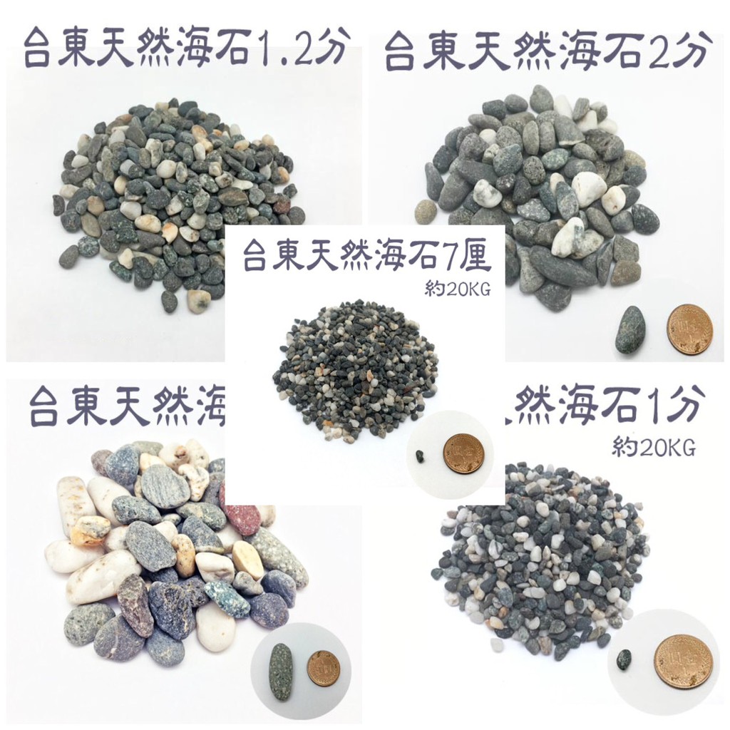 大磯沙 拍賣 評價與ptt熱推商品 21年6月 飛比價格