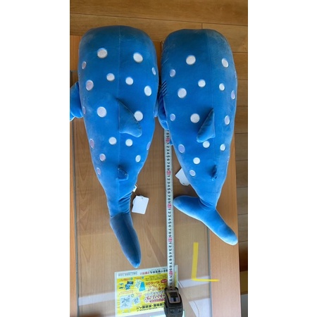 小艾代購 沖繩 尺寸 海龜 鯨鯊 海牛 海豚 娃娃 吊飾 預購 現貨 歡迎詢問 美麗海 水族館 Okinawa 限定