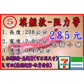 阻力帶 5號寬度2.9公分 TRX 訓練繩 訓練帶 阻力繩 拉力繩 拉力帶 彈力繩 彈力帶 環狀帶 瑜珈帶 健身帶 單槓