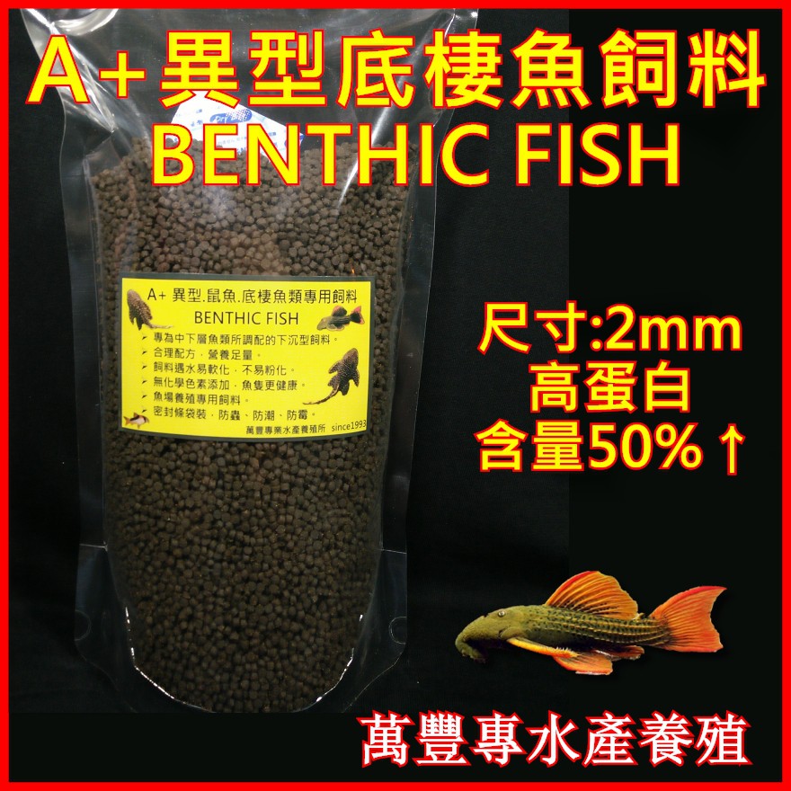 下沉型 2mm A 底棲魚類專業飼料500g 異型坦克魟魚鼠魚恐龍蠑螈紅尾石班魚肉食 蝦皮購物