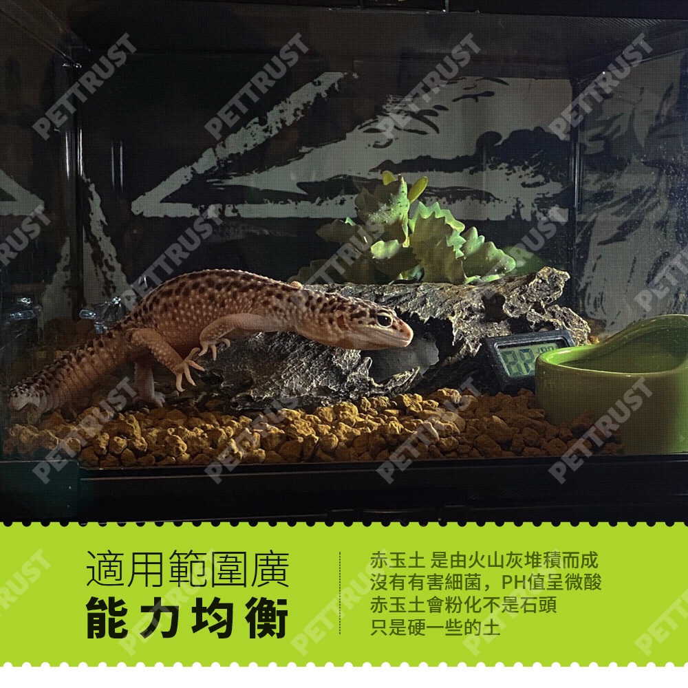 台灣現貨 赤玉土爬蟲底材睫角守宮豹紋守宮肥尾守宮豹紋底材高溫滅菌800度睫角r屬守宮專用巨人守宮 蝦皮購物