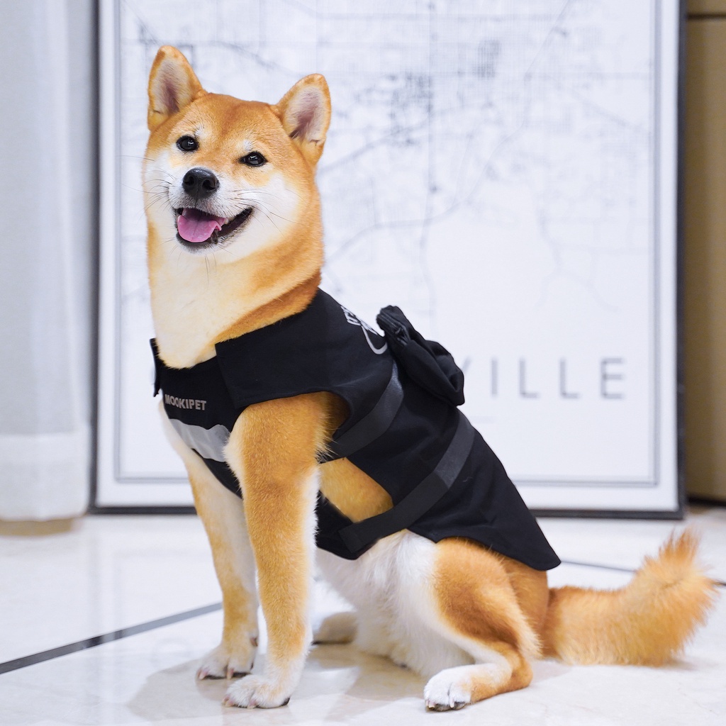 誕生日 お祝い サンディキャストos138 柴 犬 Mサイズ Mediterraneanfields Com