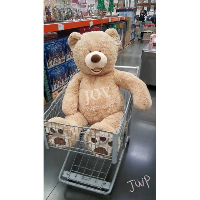 全新現貨速出 Costco 53吋絨毛熊玩偶卡其色 灰色 咖啡色好市多大熊 蝦皮購物