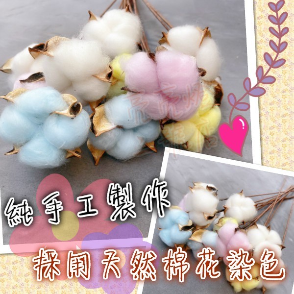 台灣現貨🌸天然棉花 手工製作🌸 乾燥花 彩色棉花 捧花花材 花束花材 拍照道具 乾燥花材 乾燥棉花 澎澎 棉花 擺拍